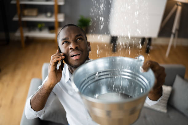 Best Water damage restoration near me  in Malden, MO