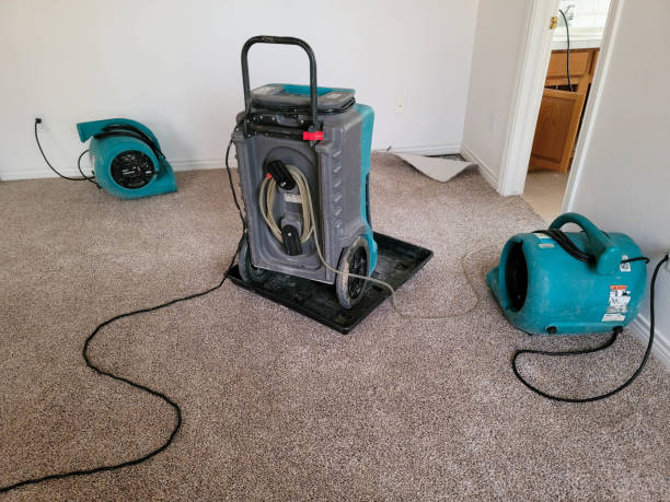 Best Water damage cleanup near me  in Malden, MO