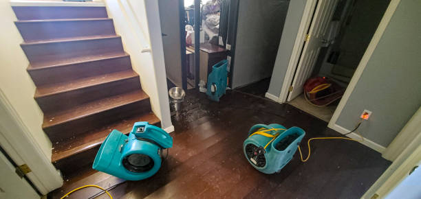 Best 24/7 water damage repair  in Malden, MO
