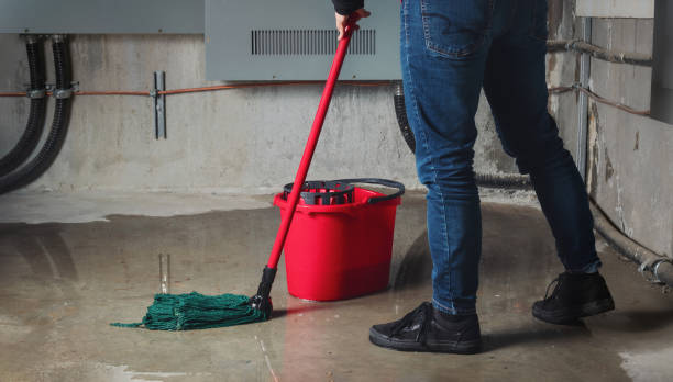 Best Water damage restoration process  in Malden, MO