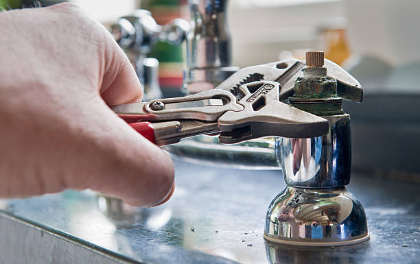 Best Mold removal after water damage  in Malden, MO
