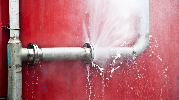 Best Ceiling water damage repair  in Malden, MO