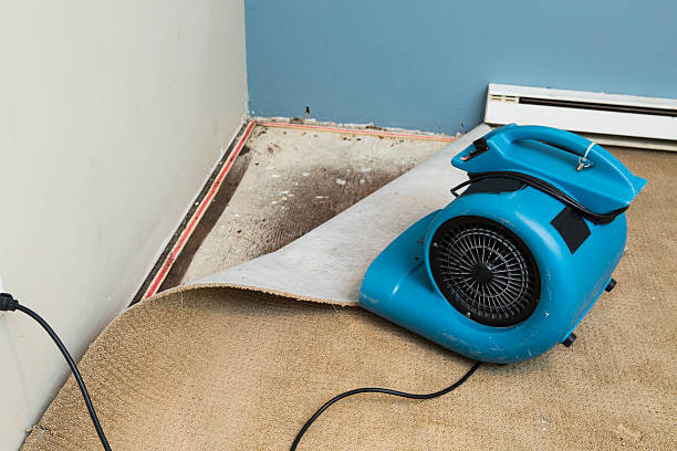 Best Water damage restoration near me  in Malden, MO